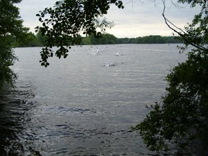 Midsummer Triathlon Grossensee 365